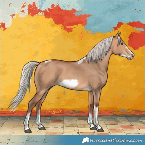 Horse Color:Silver Bay Dun Sabino Tobiano Frame Rabicano 