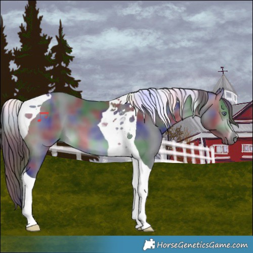 Horse Color:Nacre Brown Chinchilla Tobiano