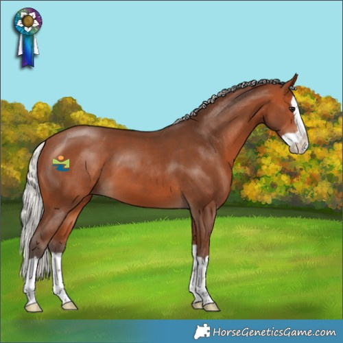 Horse Color:Silver Bay Splash 