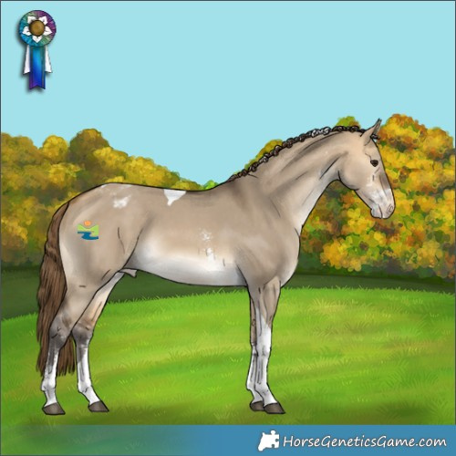 Horse Color:Buckskin Dun Sabino Tobiano Varnish