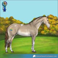 Horse Color:Buckskin Dun Sabino Tobiano Varnish