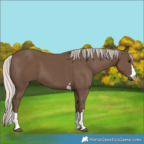 Horse Color:Silver Black 