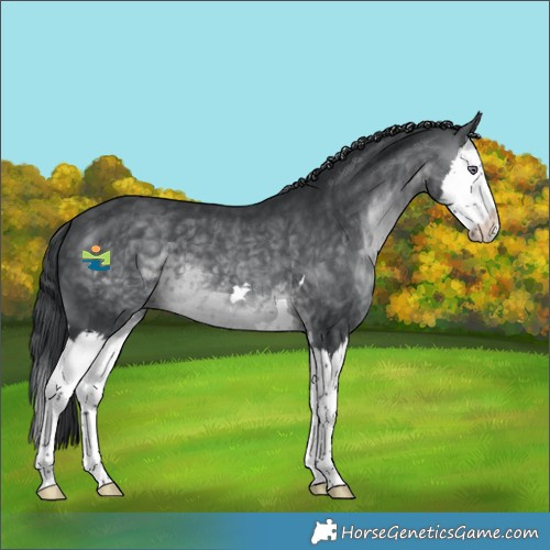 Horse Color:Brown Chinchilla Splash 