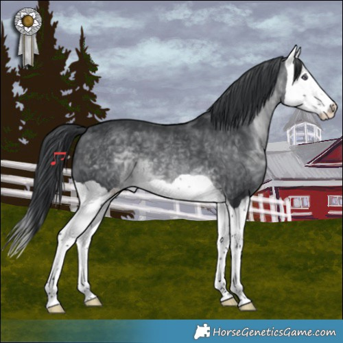 Horse Color:Brown Chinchilla Splash 