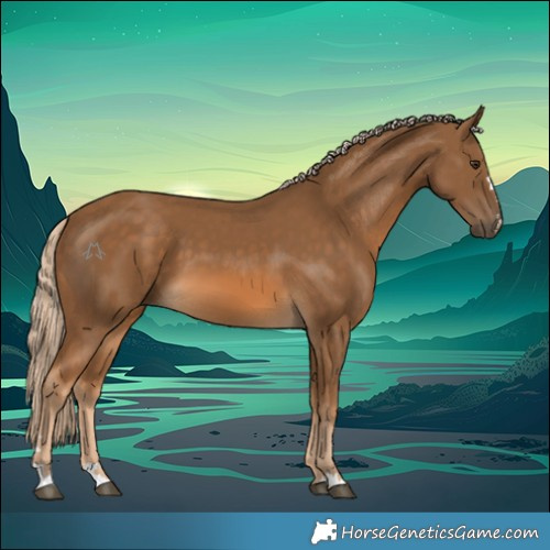 Horse Color:Chocolate Palomino 