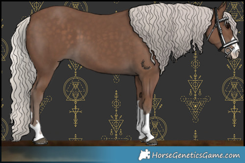 Horse Color:Silver Black 