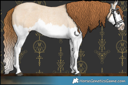 Horse Color:Red Dun Roan Splash Frame Rabicano
