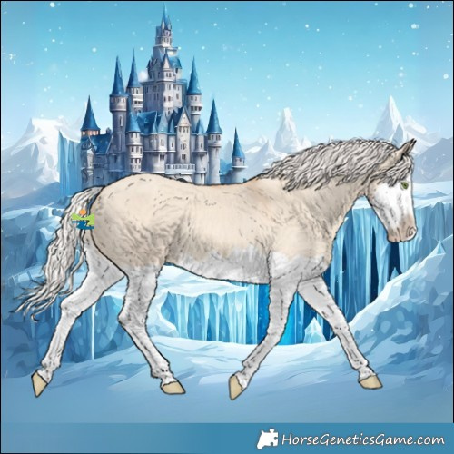 Horse Color:Silver Classic Champagne Dun Splash Frame 