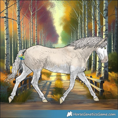 Horse Color:Silver Classic Champagne Dun Splash Frame 