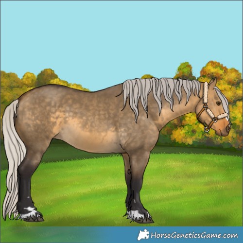 Horse Color:Silver Buckskin Dun 