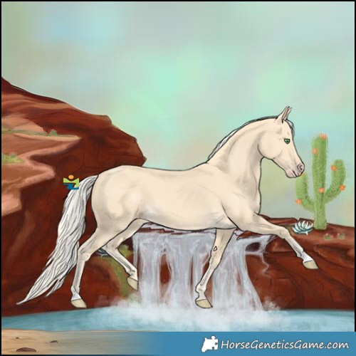 Horse Color:Gold Cream Champagne