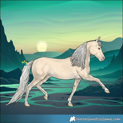 Horse Color:Gold Cream Champagne