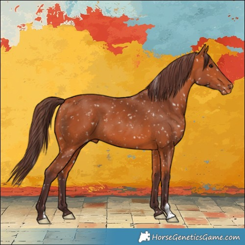 Horse Color:Chocolate Bay Snowflake Varnish