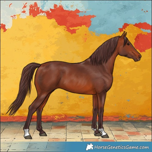 Horse Color:Chocolate Bay 