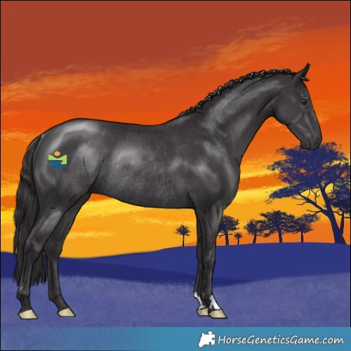Horse Color:Smoky Black Chinchilla Rabicano 