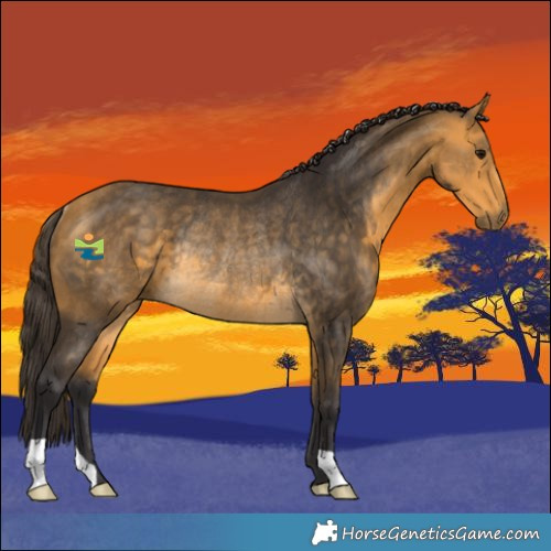 Horse Color:Buckskin Rabicano 