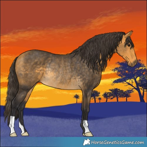 Horse Color:Buckskin Rabicano