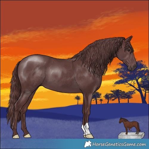 Horse Color:Chocolate Smoky Black Chinchilla