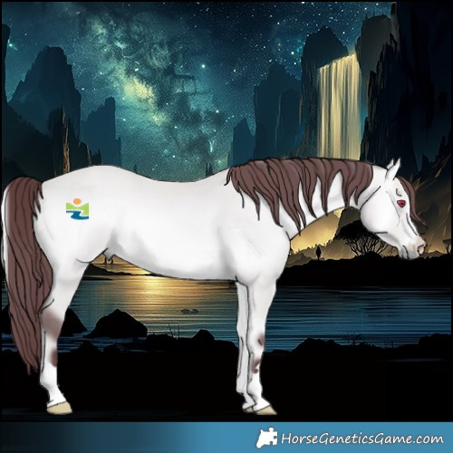 Horse Color:Platinum Chocolate Bay Chinchilla Onyx 