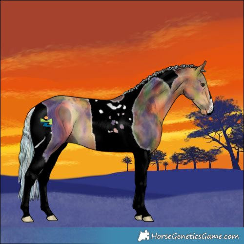 Horse Color:ERROR: UNKNOWN ANOMALY