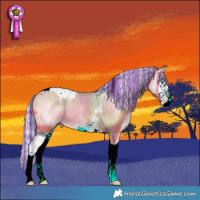Horse Color:ERROR: UNKNOWN ANOMALY