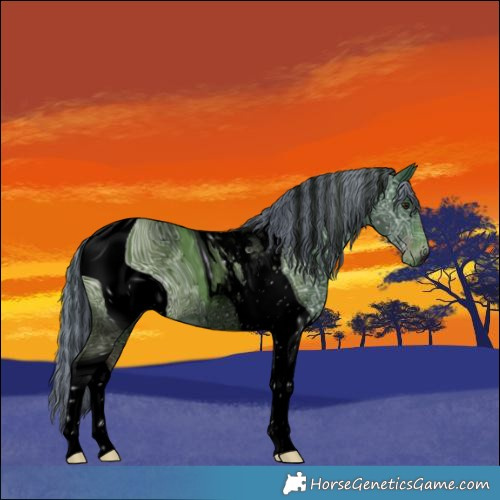 Horse Color:ERROR: UNKNOWN ANOMALY