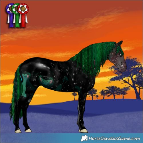 Horse Color:ERROR: UNKNOWN ANOMALY