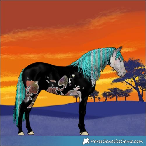 Horse Color:ERROR: UNKNOWN ANOMALY