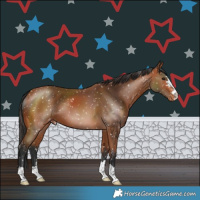 Horse Color:Bay Snowflake Varnish 