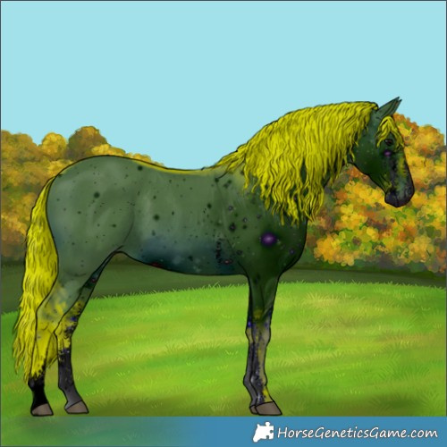 Horse Color:ERROR: UNKNOWN ANOMALY