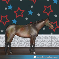 Horse Color:Brown Snowflake Varnish 