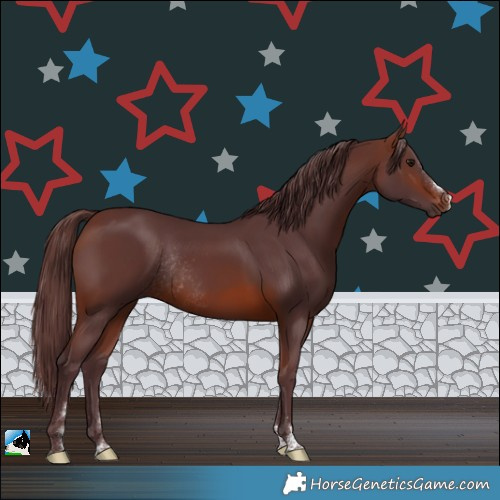 Horse Color:Chocolate Brown Rabicano
