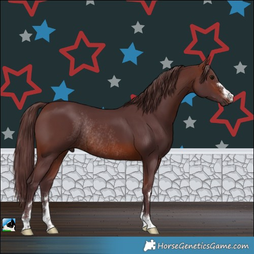 Horse Color:Chocolate Brown Rabicano
