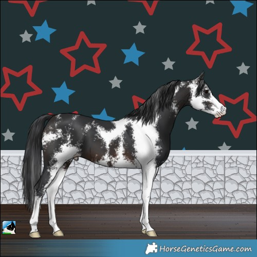 Horse Color:Brown Sabino