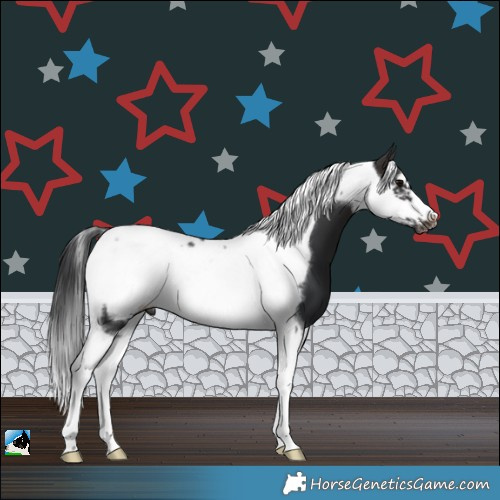 Horse Color:Brown Tobiano Frame