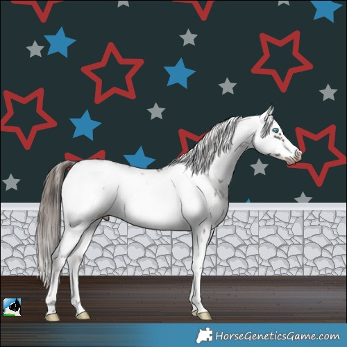 Horse Color:White Spotted Liver Chestnut Sabino Frame 