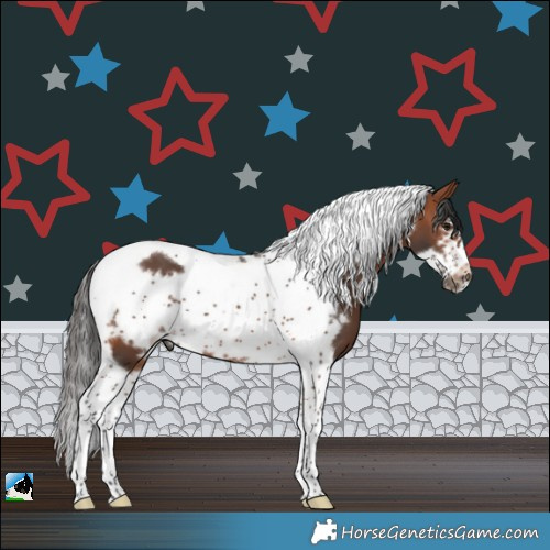 Horse Color:Bay Tobiano Frame 
