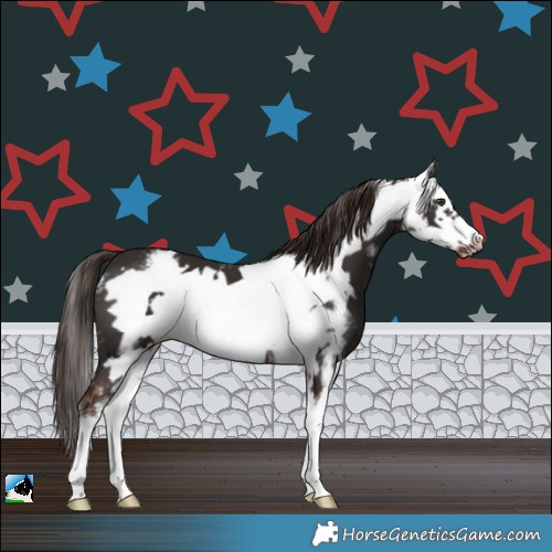 Horse Color:Liver Chestnut Sabino Frame 