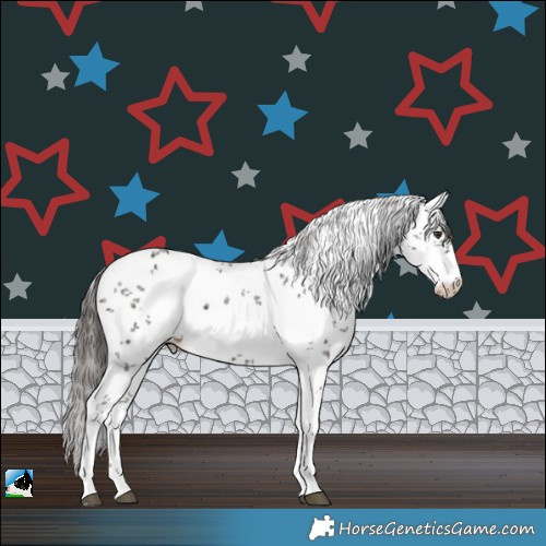 Horse Color:White Spotted Liver Chestnut Sabino 