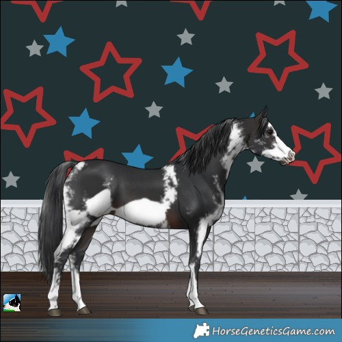 Horse Color:Brown Sabino Frame