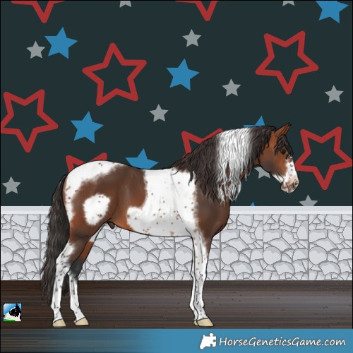 Horse Color:Bay Tobiano Frame