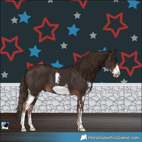 Horse Color:Liver Chestnut Sabino Frame 