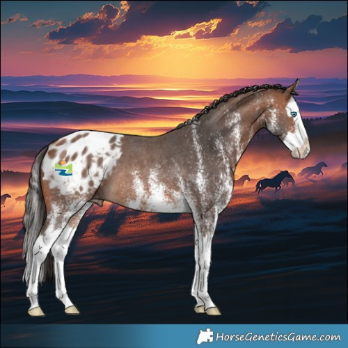 Horse Color:White Spotted Bay Splash Appaloosa Rabicano 