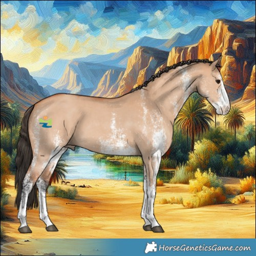 Horse Color:White Spotted Bay Dun 