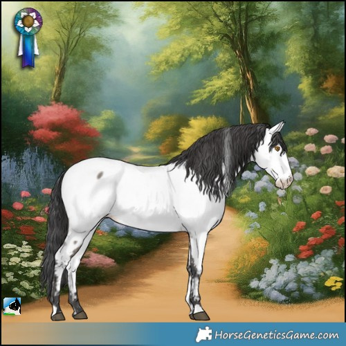 Horse Color:Grullo Appaloosa Brindle 