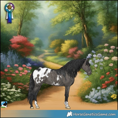 Horse Color:Grullo Appaloosa Brindle
