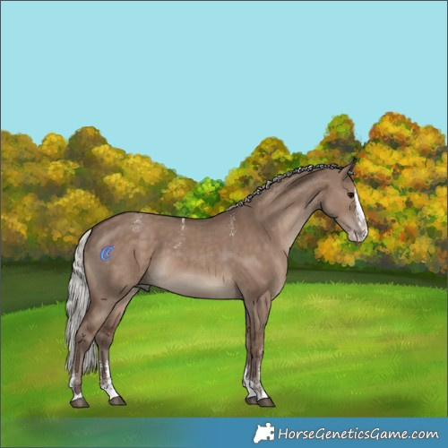 Horse Color:Powder White Silver Grullo Splash 
