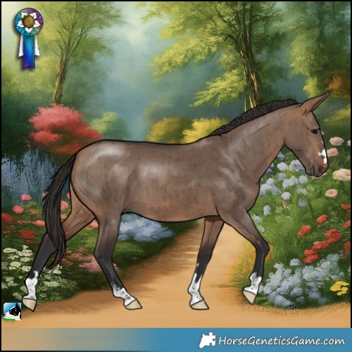 Horse Color:Bay Dun Brindle 