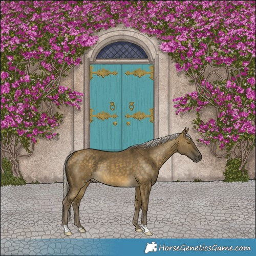 Horse Color:Silver Buckskin Dun Rabicano