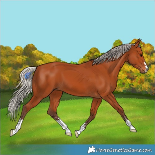 Horse Color:Silver Bay
